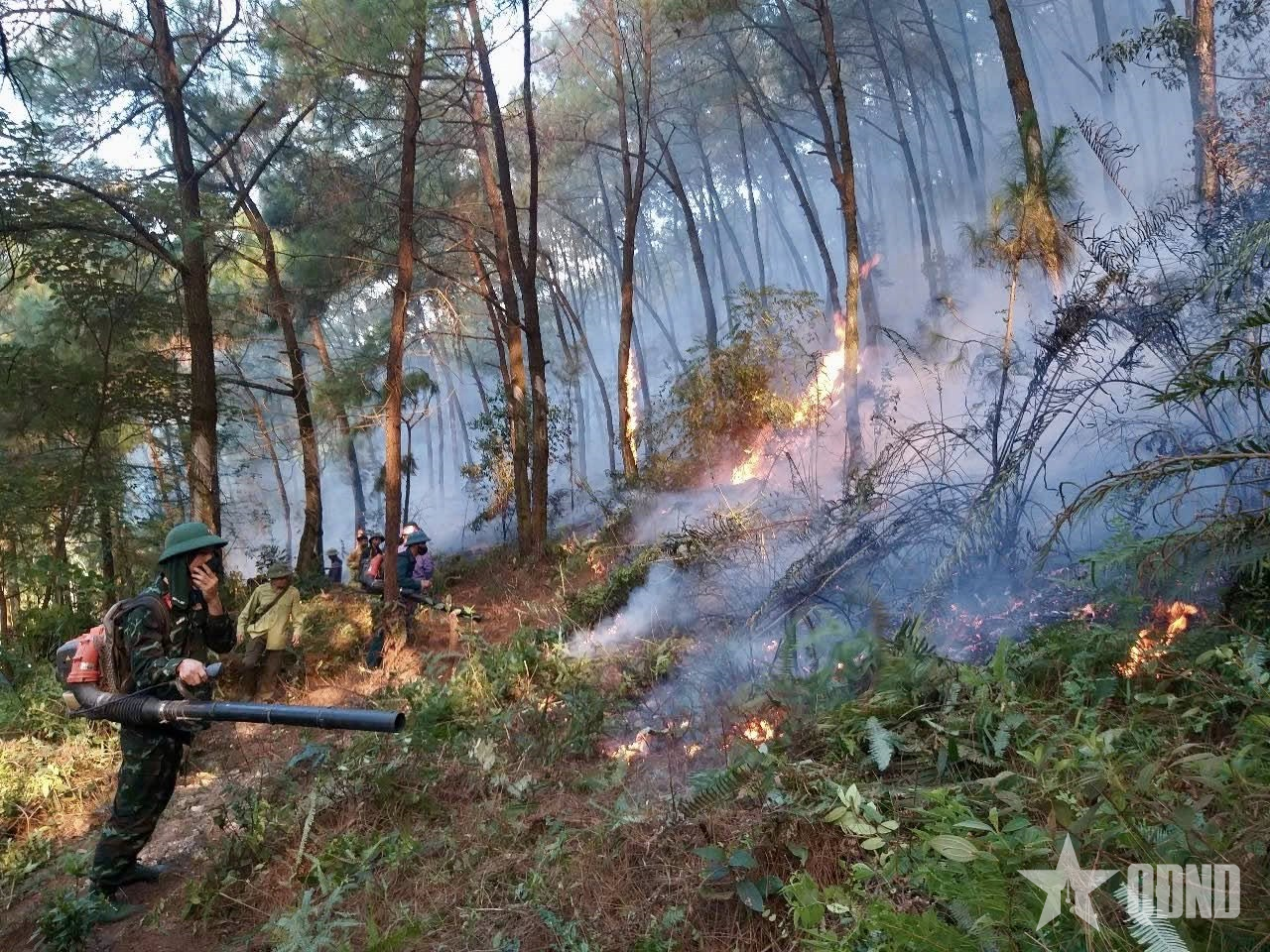 Ban Chỉ huy Phòng thủ khu vực 1 – Vạn An (Bộ CHQS tỉnh Nghệ An) tham gia chữa cháy rừng